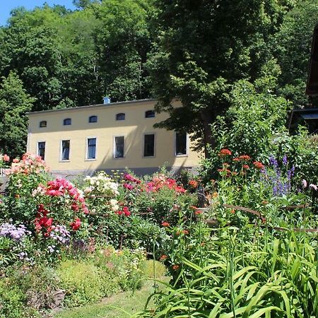 Ferienwohnung Goldgrund Meißen Buitenkant foto