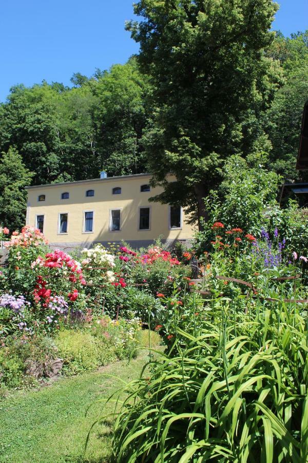 Ferienwohnung Goldgrund Meißen Buitenkant foto